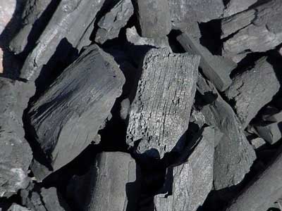 Manufacturers Exporters and Wholesale Suppliers of Wood Charcoal Raipur Chhattisgarh